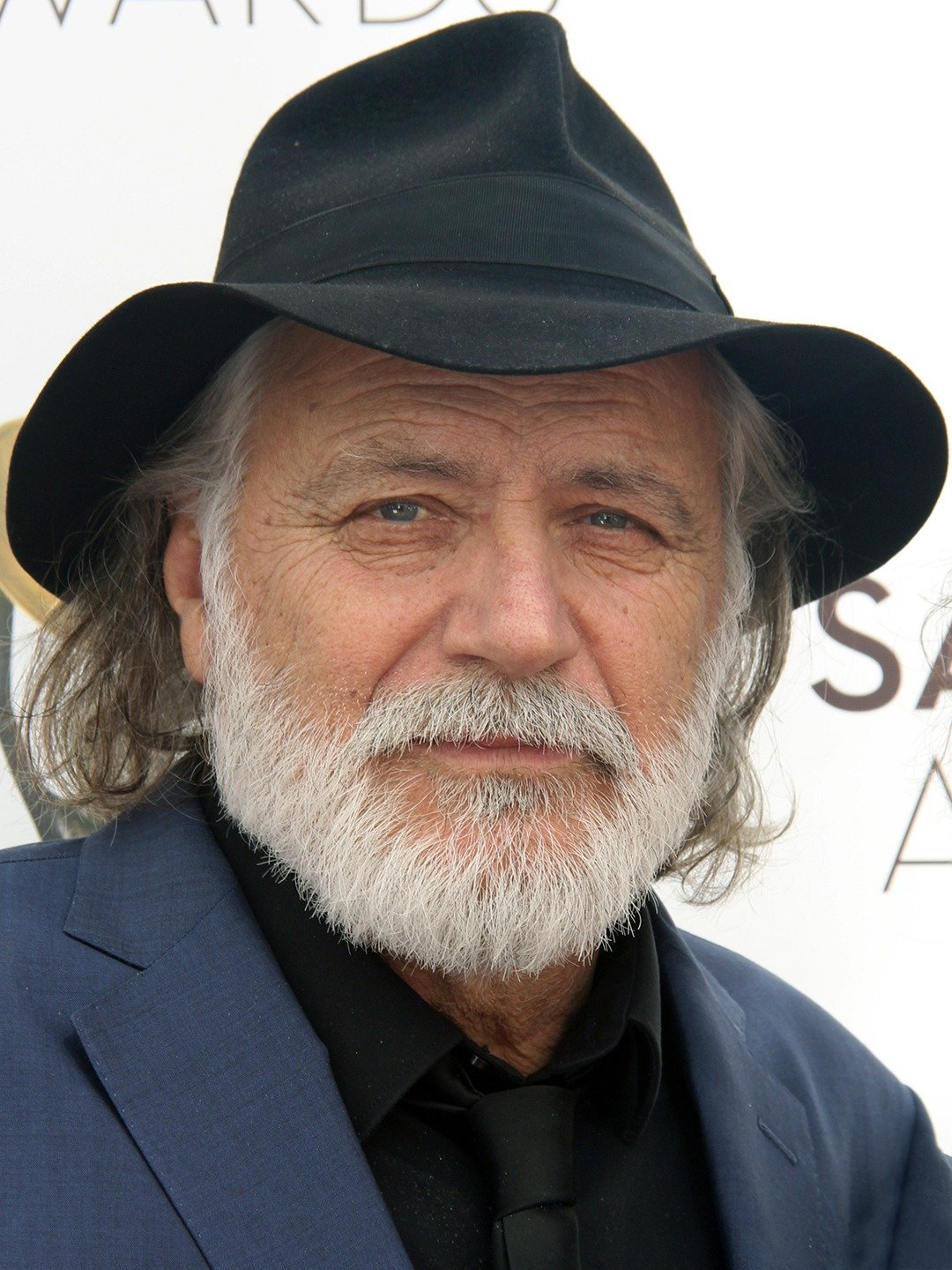 Rade Šerbedžija